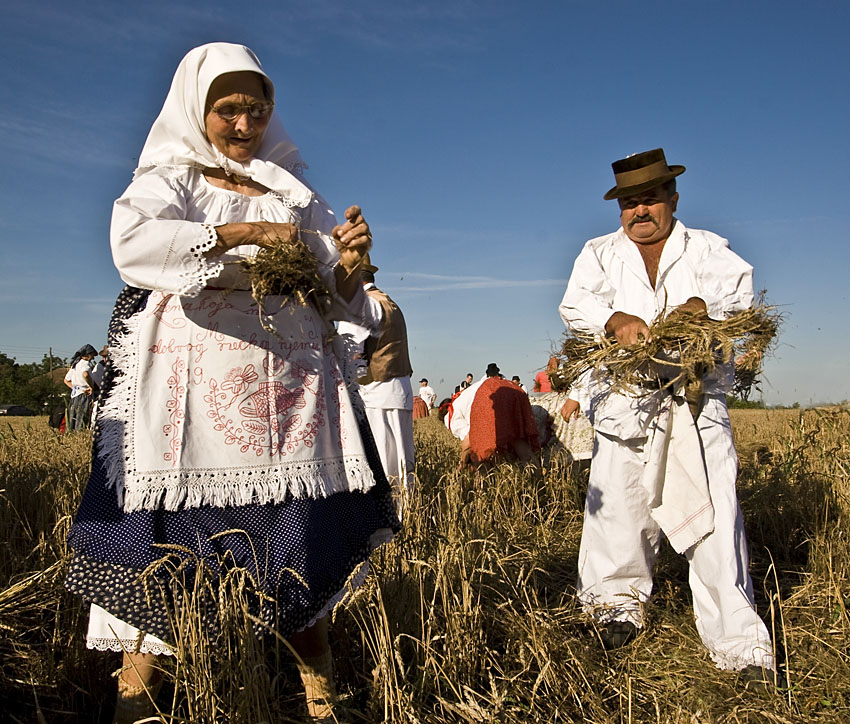 Harvesters