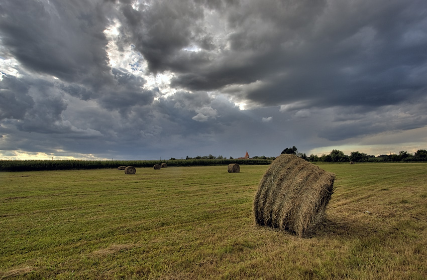 Before the Rain