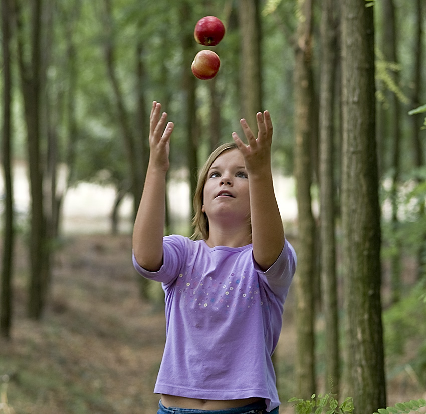 Apples 1/2