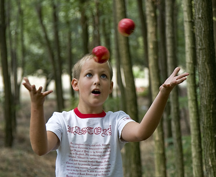 Apples 2/2