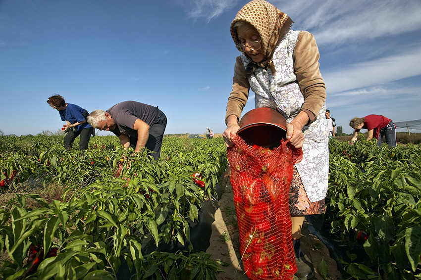 Harvesting