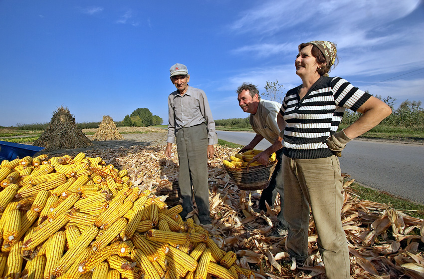 Harvest is over