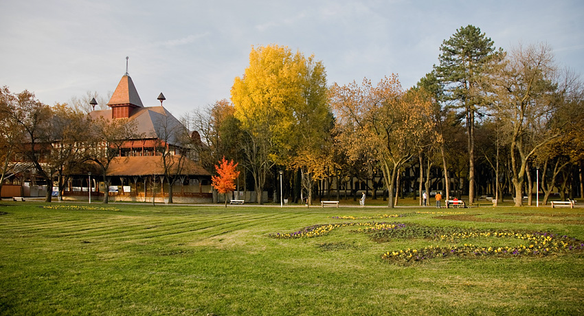 Autumn, Palić