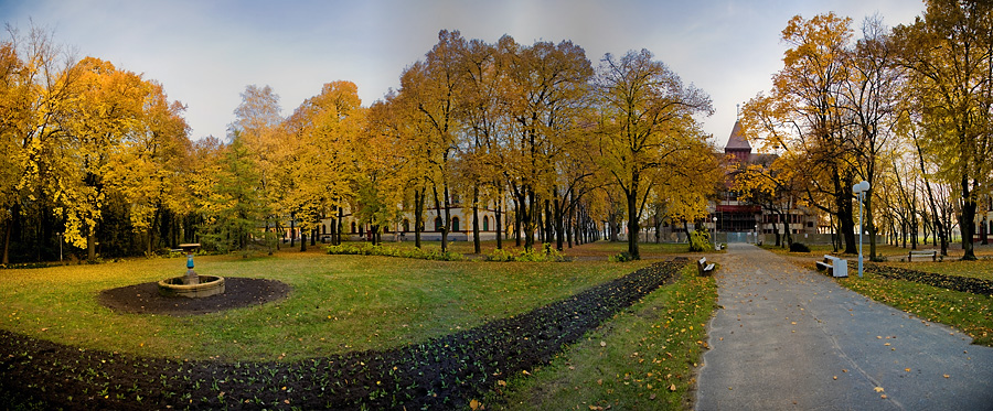 Autumn, Palić