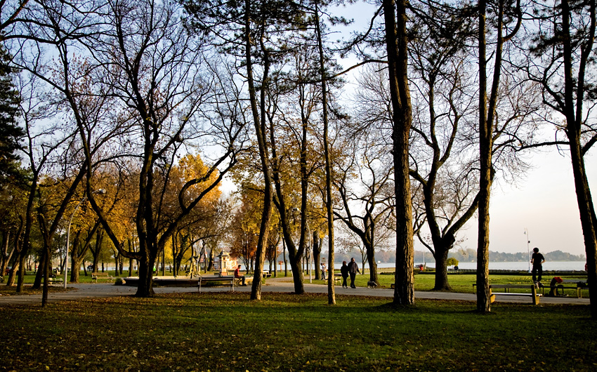 Autumn, Palić