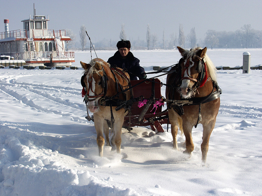 Palić in Winter